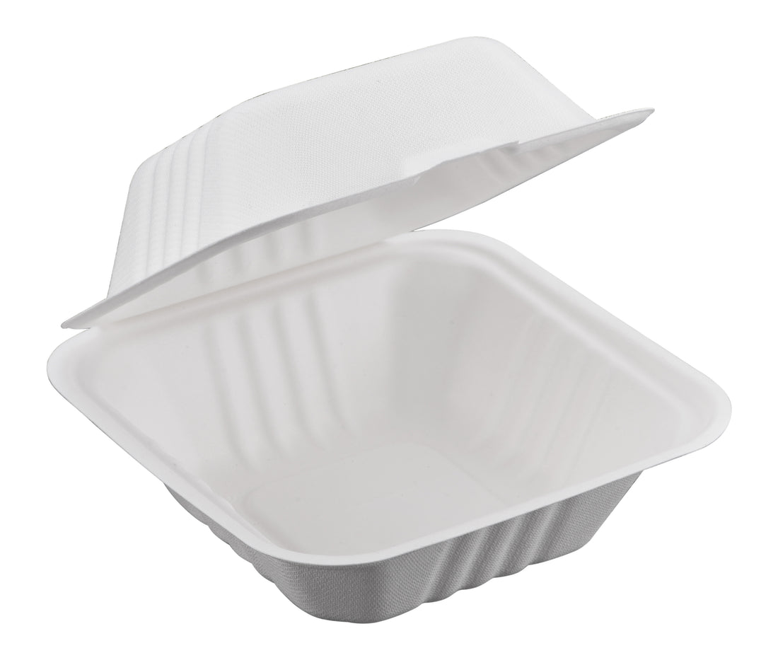 Bagasse Hinged Container, White, PFAS FREE, 6" x 6", 500pc (125/4) - Image 1