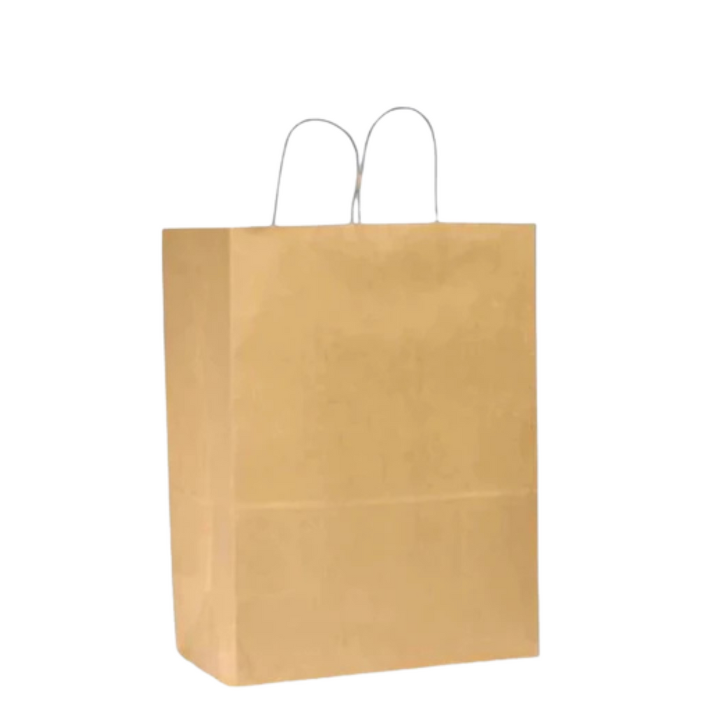 13 X 7 X 17 KRAFT PAPER SHOPPING BAG WITH HANDLE 250CT