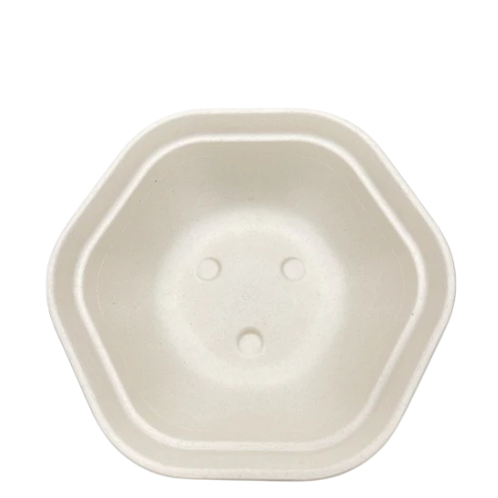 38 OZ HEXAGON BAGASSE BOWL 400CT